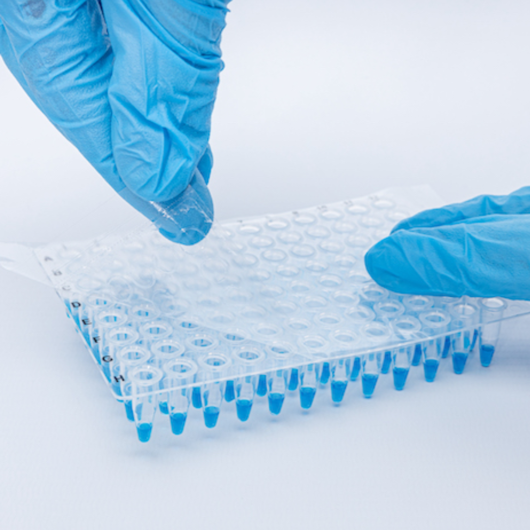 appSEAL qPCR Plate Seal