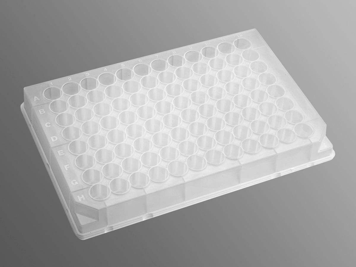 Microplate, 96 Well, Polypropylene, 500 µL, Clear, Bulk, Axygen