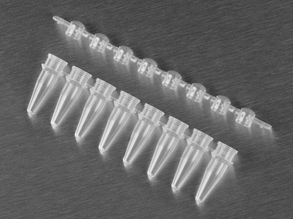 0.2ml Thin Wall Clear PCR Strip Tubes and Clear Strip Caps.