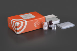 EchoLUTION Cell Culture RNA Kit, Bioecho