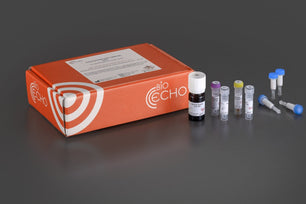 EchoLUTION FFPE DNA Kit, Bioecho