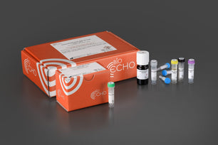 EchoLUTION FFPE RNA Kit, Bioecho