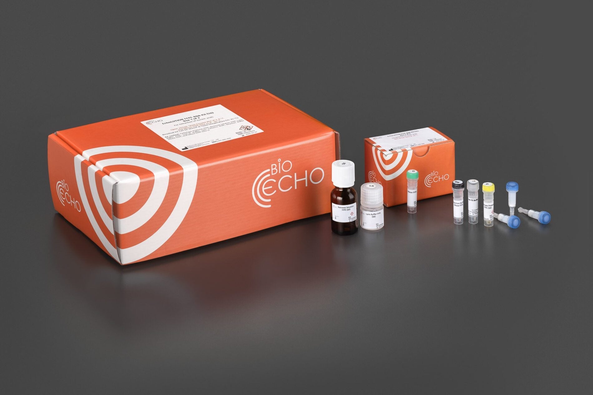 EchoLUTION FFPE RNA Kit, Bioecho