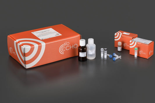 EchoLUTION FFPE RNA Kit, Bioecho