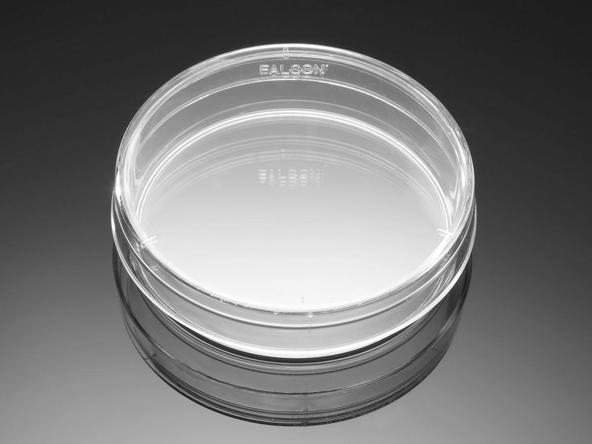 Corning® PureCoat‚¬ž¢Amine 100mm Amine Dish, 10/Pack, 10/Case