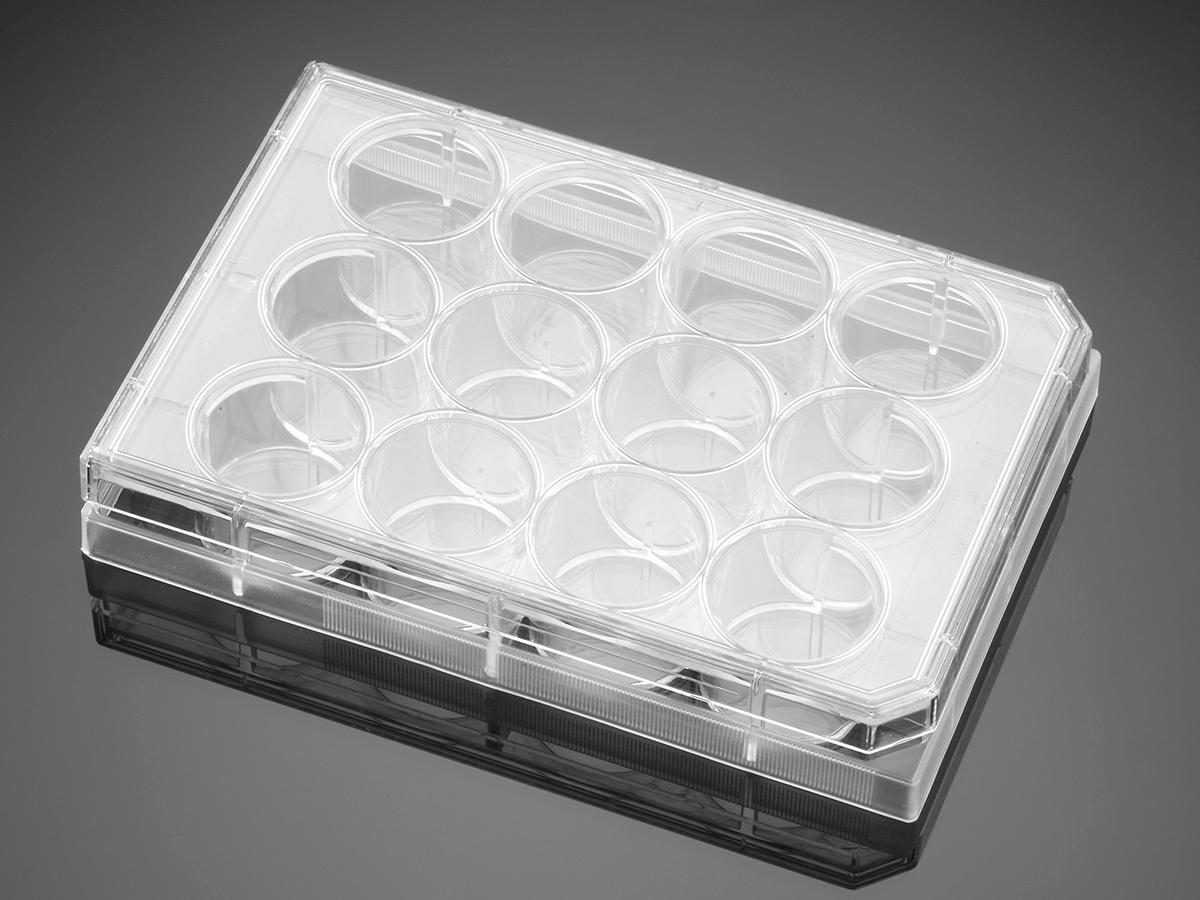 Corning® BioCoat„¢ Poly-D-Lysine 12 Well Clear Flat Bottom TC-TreatedMultiwell Plate, with Lid, Nonsterile, 5/Case