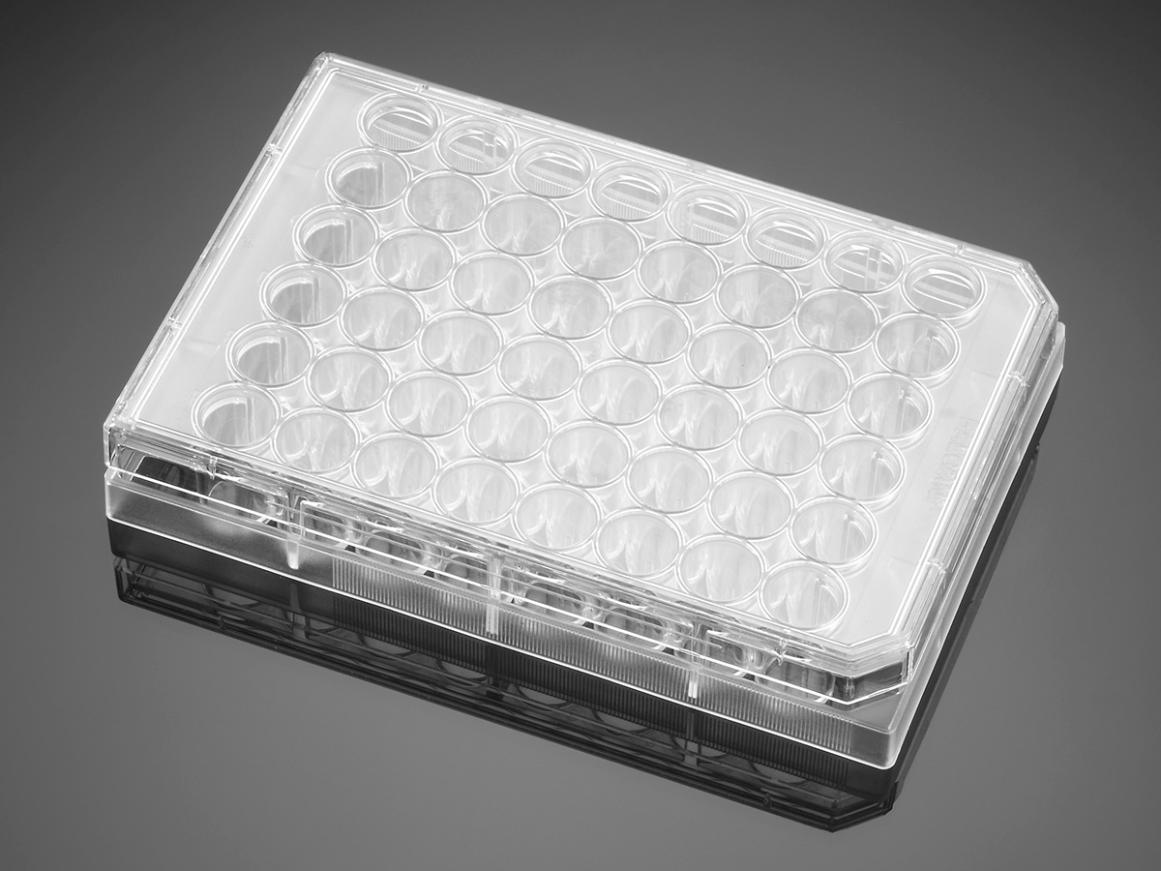 Corning® BioCoat„¢ Poly-D-Lysine 48 Well Clear Flat Bottom TC-Treated Multiwell Plate, with Lid, Nonsterile, 5/Case