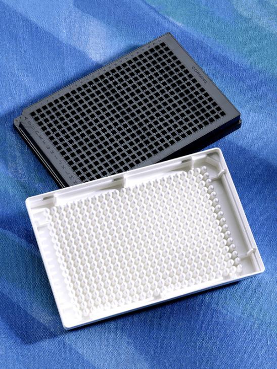 Corning® 384 Well Plate, Low Volume, White, Non Treated, Round Bottom, Without Lid, Nonsterile