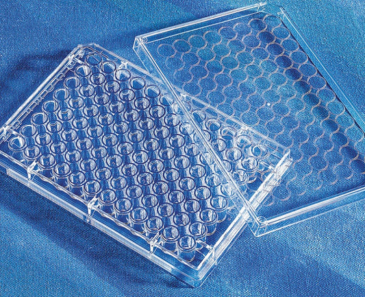 96 Well Clear Flat Bottom, Poly-D-Lysine Coated Microplate, 20 per Bag, with Lid, Sterile, Corning