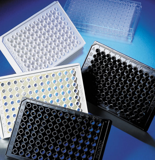 96 Well Clear Flat Bottom, Black, Polystyrene, Poly-D-Lysine Coated Microplates, 20 per Bag, with Lid, Sterile, Corning