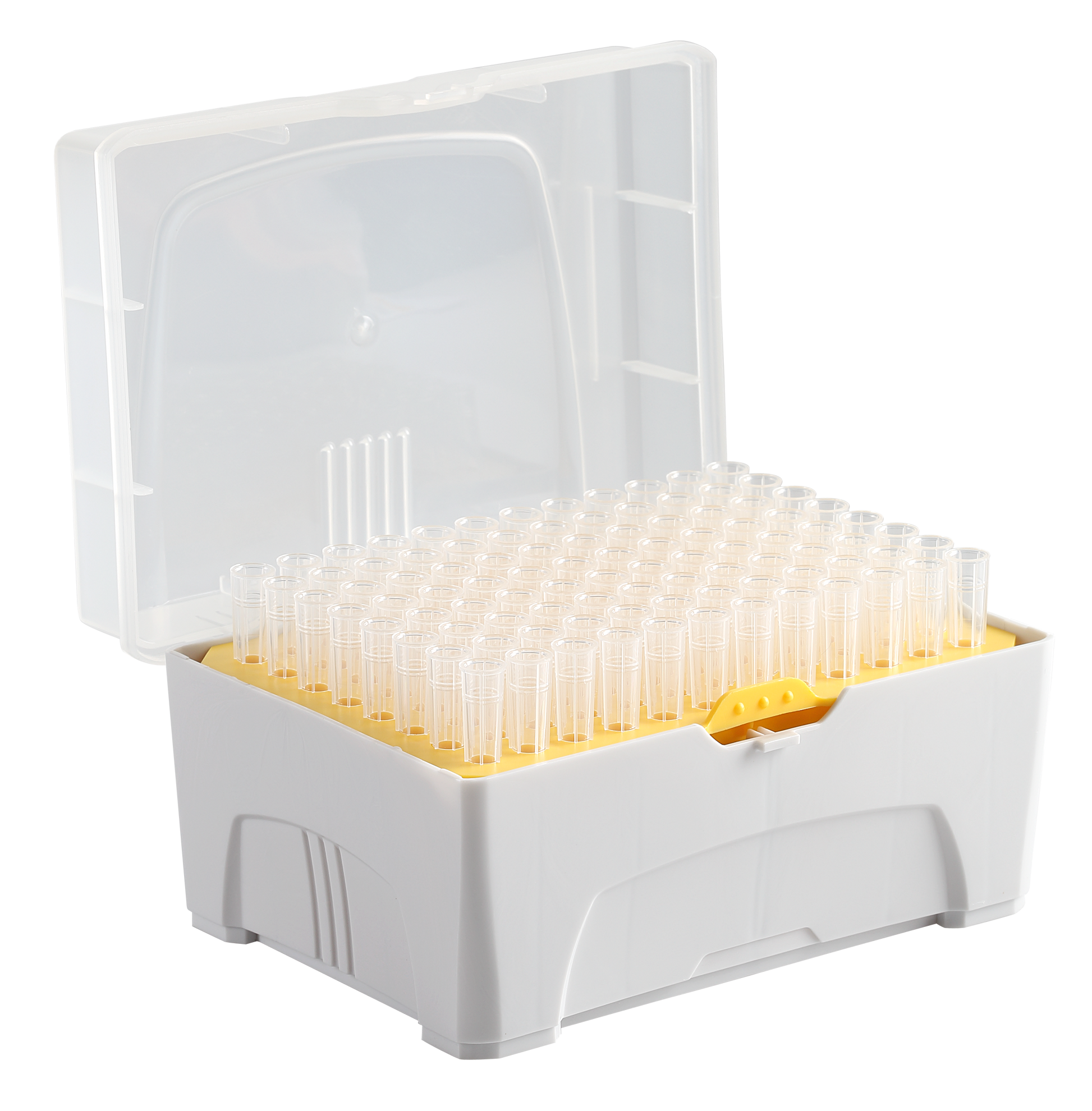 Appleton Filter Pipette Tips