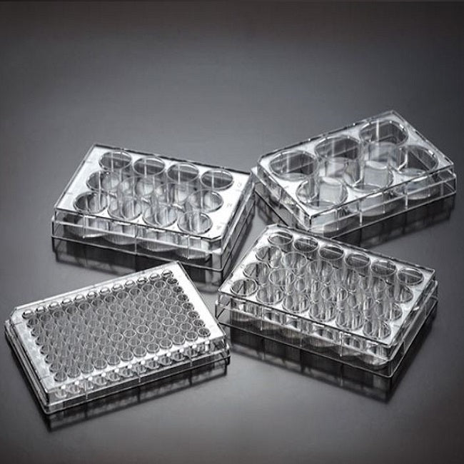 Tissue Culture Treated Plates, Jet Biofil