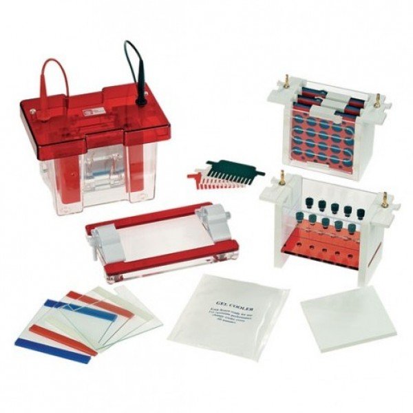 Complete system for Mini Vertical Electrophoresis