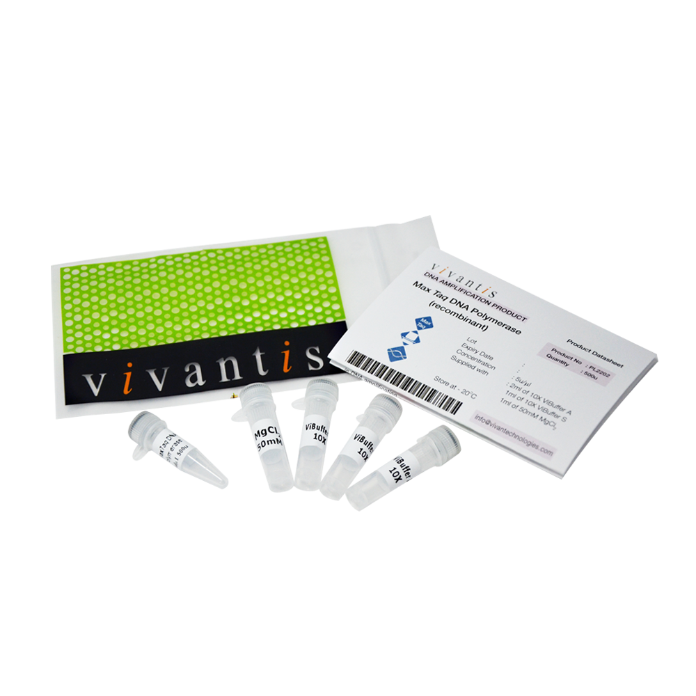 MaxTaq DNA Polymerase (Long PCR - 5ul/ul), 500 units