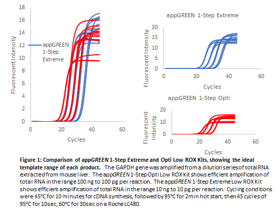 appGREEN 1-Step Extreme High ROX RT-qPCR  Kit