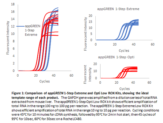 appGREEN 1-Step Extreme High ROX RT-qPCR  Kit