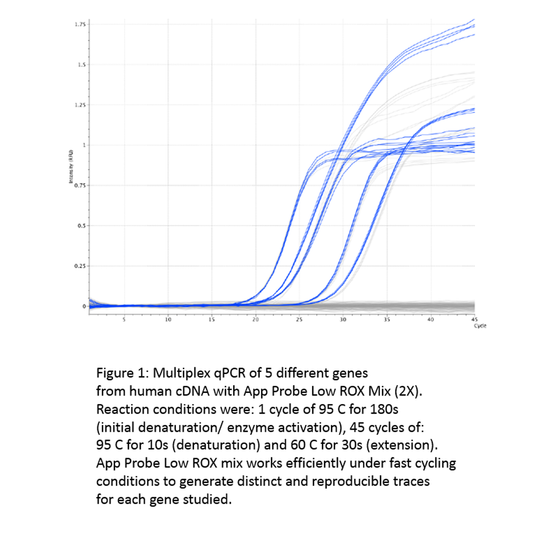 appPROBE 1-Step Opti Low ROX Kit sample (100 reactions)
