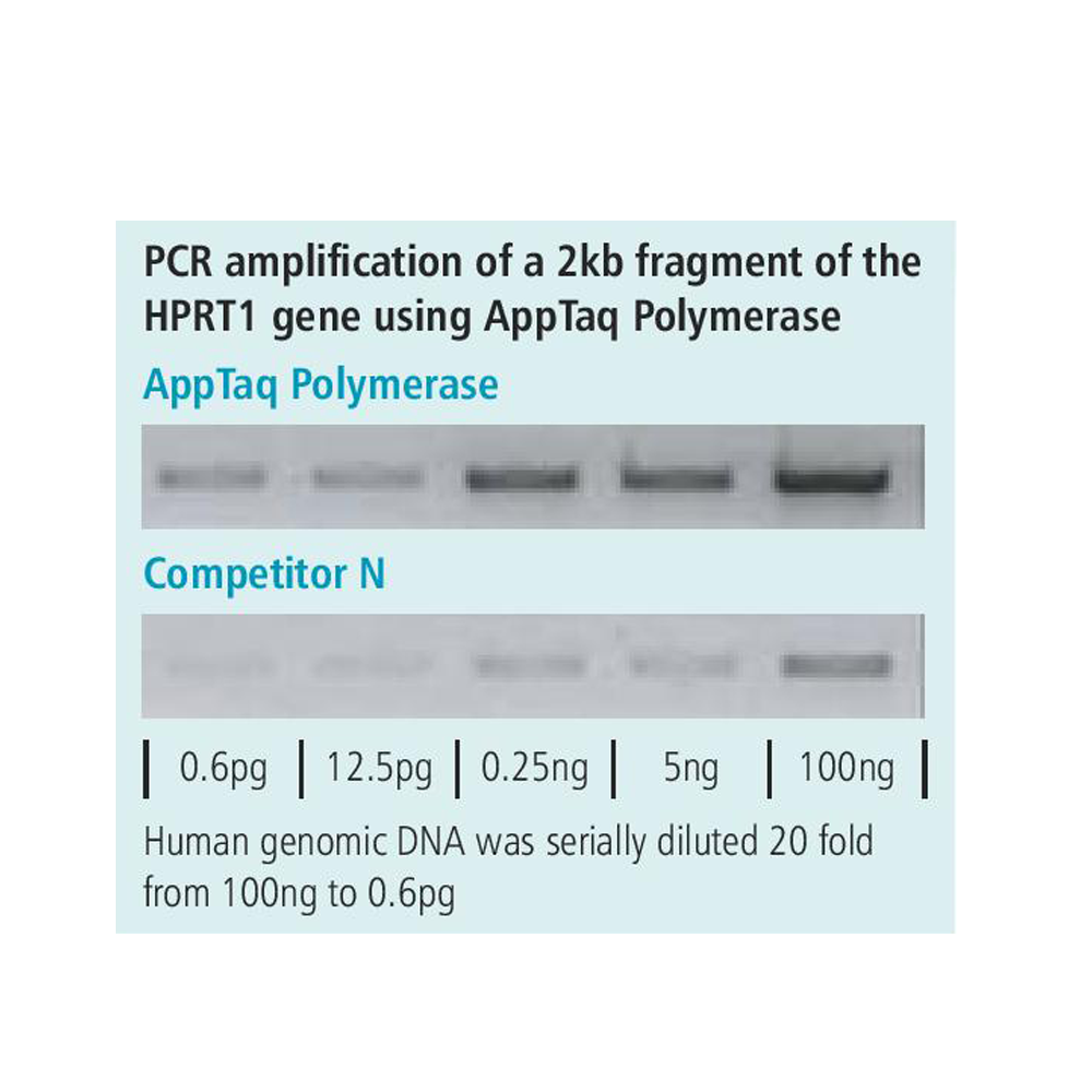 appTAQ Polymerase