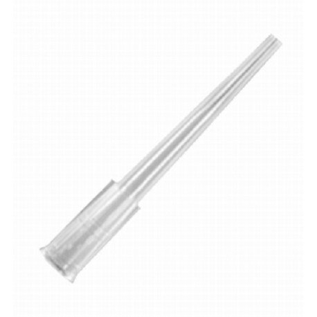 Clear Wide Bore Tips, Axygen