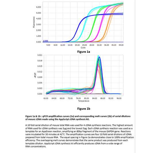 appSCRIPT cDNA synthesis kit