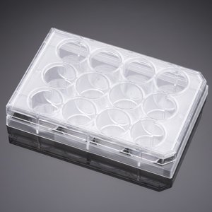 Corning&#174; BioCoat&#8482; Poly-D-Lysine 12 Well Clear Flat Bottom TC-Treated Multiwell Plate, with Lid, Nonsterile, 5/Pack, 50/Case