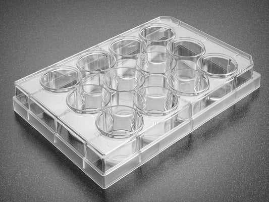 Corning&#174; Primaria&#8482; 6 Well Cell Clear Flat Bottom Surface-Modified  Multiwell Culture Plate, with Lid, Sterile,50/Case