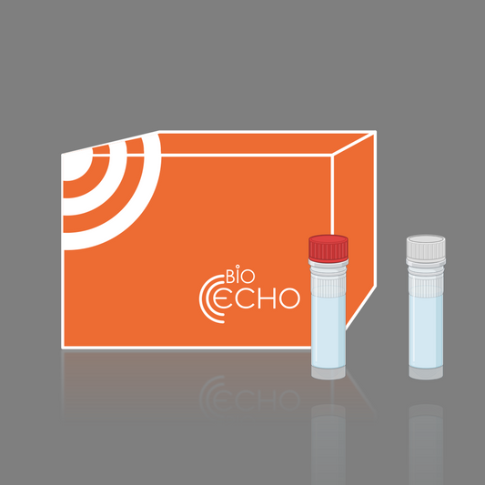 gDNA Removal Mix, Bioecho