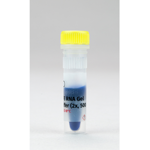 EchoSAFE RNA Gel Loading Buffer, 500 µl, Bioecho