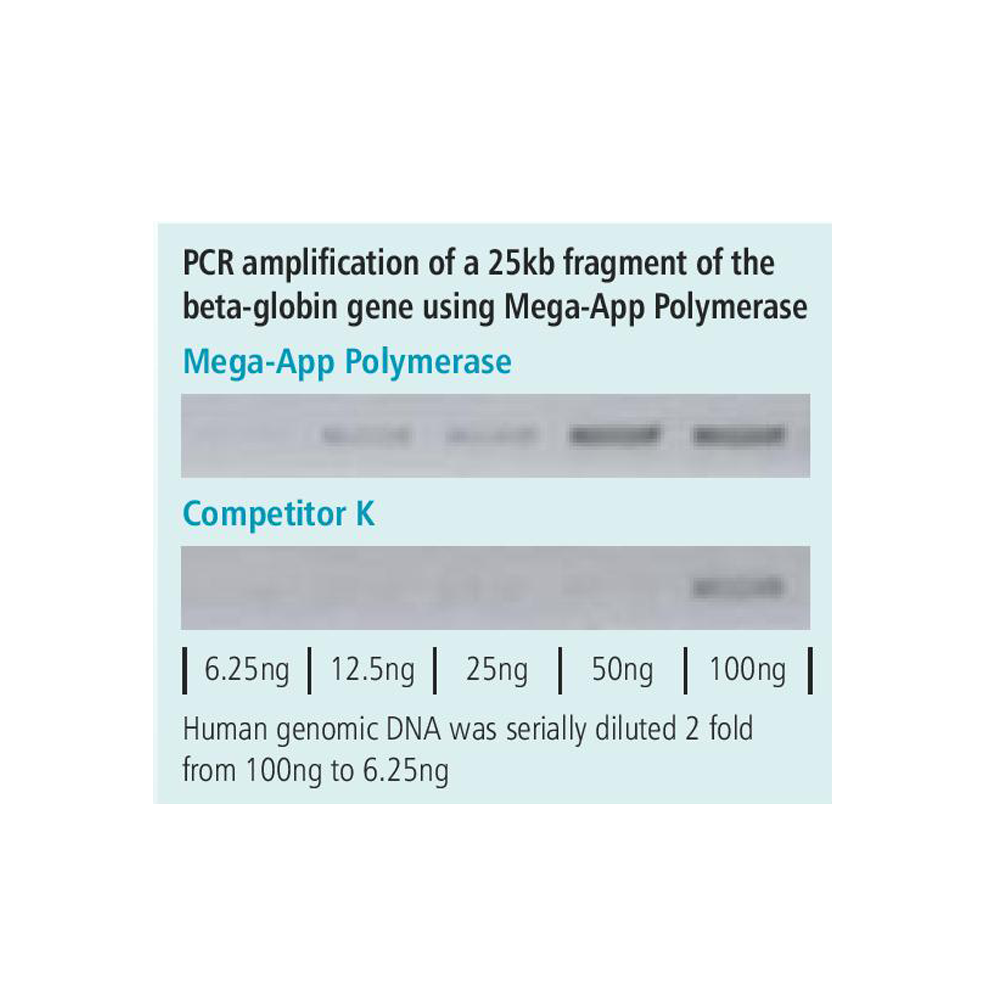 appMEGA Polymerase