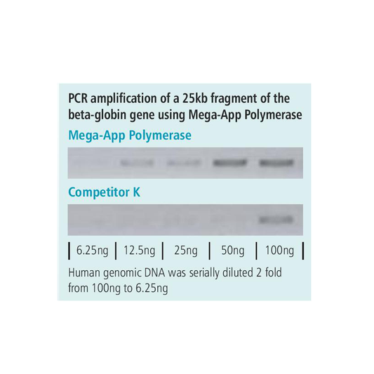 appMEGA Polymerase