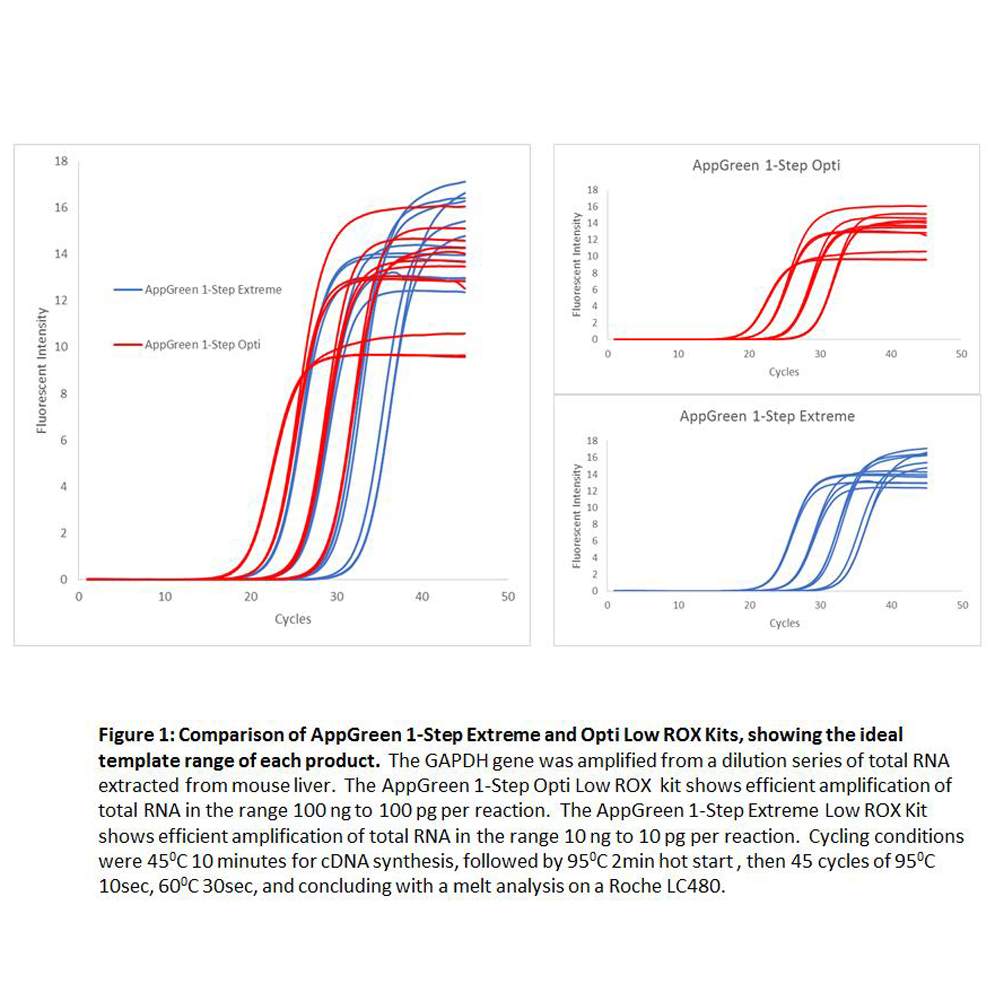 appGREEN 1-Step Extreme High ROX RT-qPCR  Kit