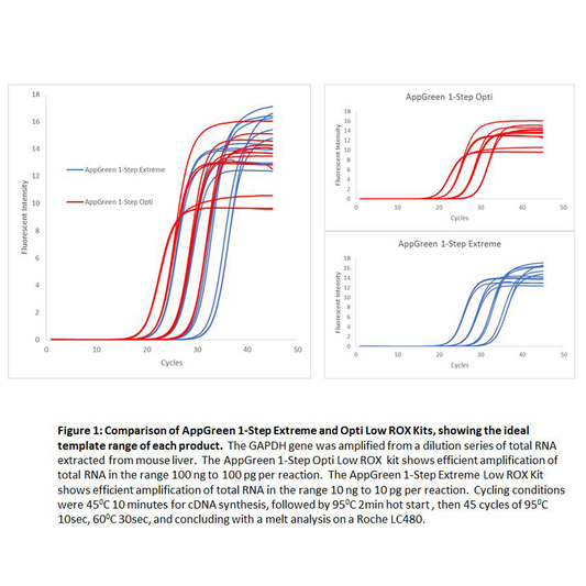 appGREEN 1-Step Extreme Low ROX RT-qPCR  Kit