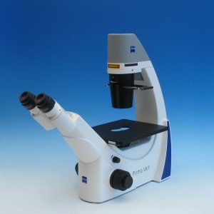 Primovert, brightfield, phase, 4x, 10x Ph1, LD 20x Ph1, LD 40x Ph1, condenser 0.3, Zeiss