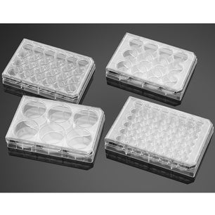 Falcon® Clear Flat Bottom TC-Treated Multiwell Cell Culture Plates, with Lid, Non-Sterile