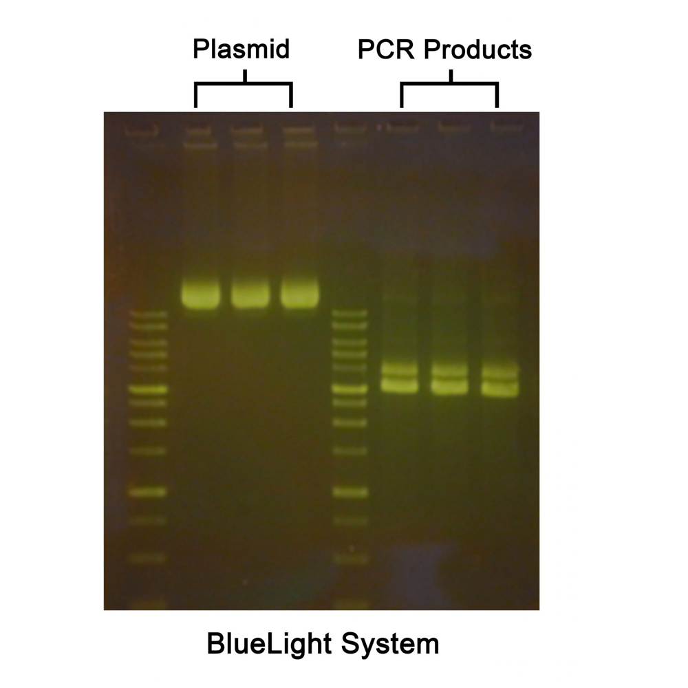 runSAFE DNA Stain, (1ml/vial)