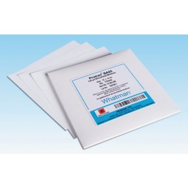 Membrane filter, Anodisc, 0.02um, 47mm, Whatman